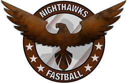 Nighthawks alt logo